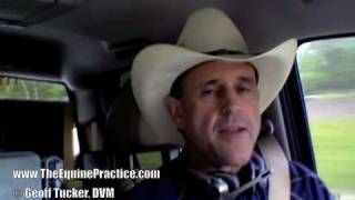 Does your Horse's Teeth need to be Floated? Horsemanship Dentistry, Goeff Tucker, DVM