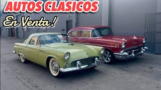 Classic Car Owner Is Selling His Collection! You Won't Believe How Much!