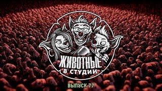 Подкаст «Животные в Cтудии». Выпуск 77. Кинжал и Коробочка Подкаст «Животные в Cтудии». Выпуск 77. Кинжал и Коробочка