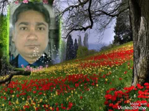 Shayari Zakhmi Dil Hindi Salahuddin