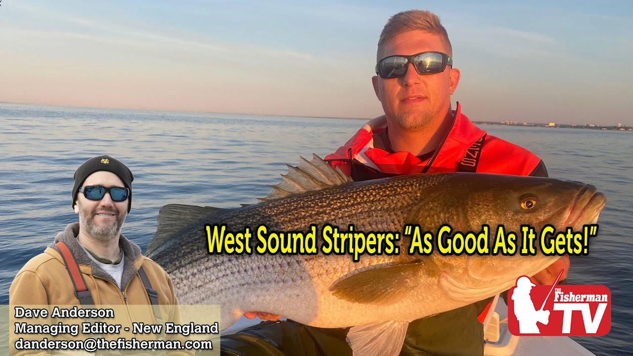 June 16th 2022 New England Video Fishing Forecast with Dave Anderson