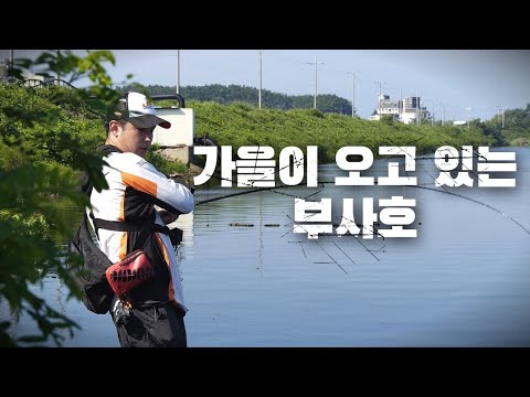 [피싱로그99.9] #156회 가을이 오고 있는 부사호 <strong>배스</strong> <strong>낚시</strong>