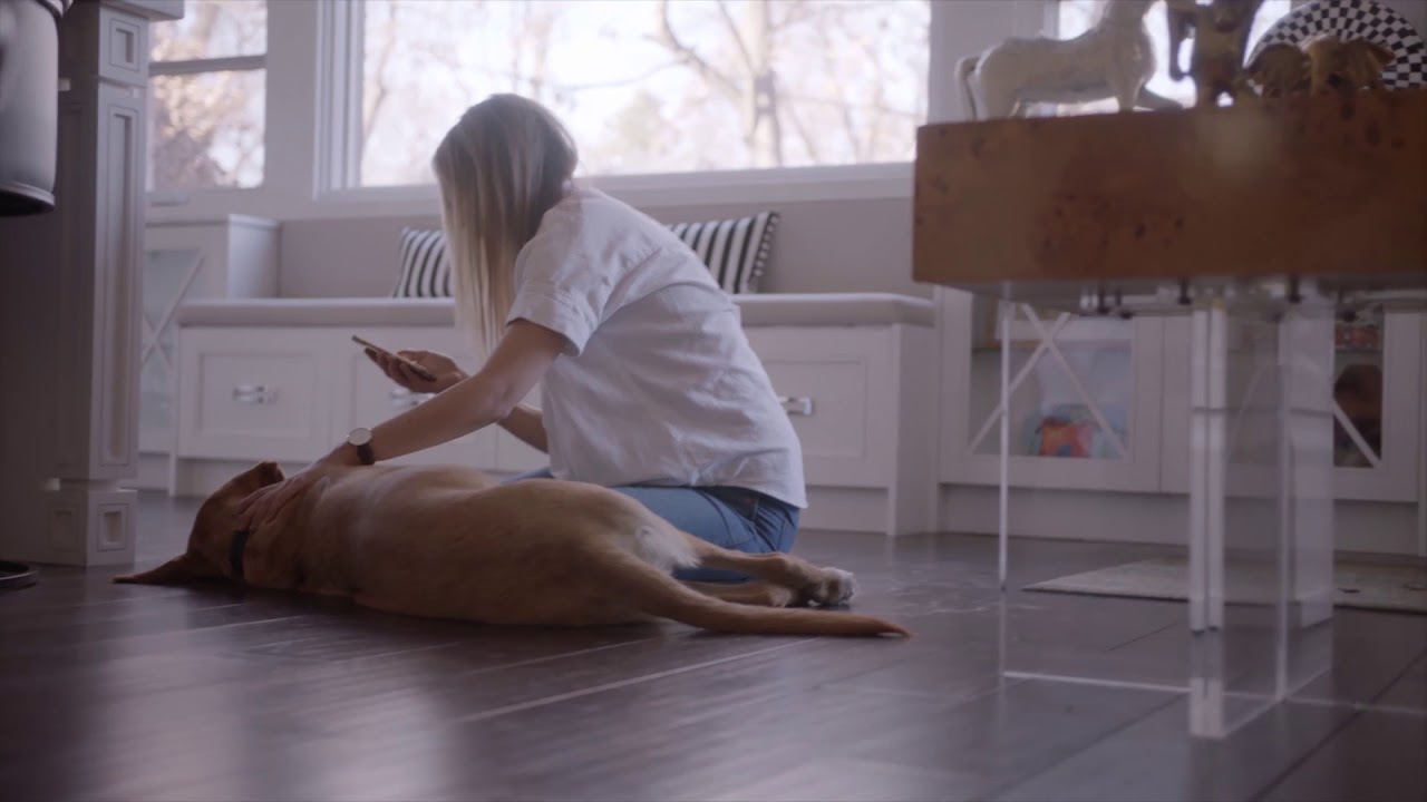 How To Protect Your Pet Against Unexpected Accidents or Illness