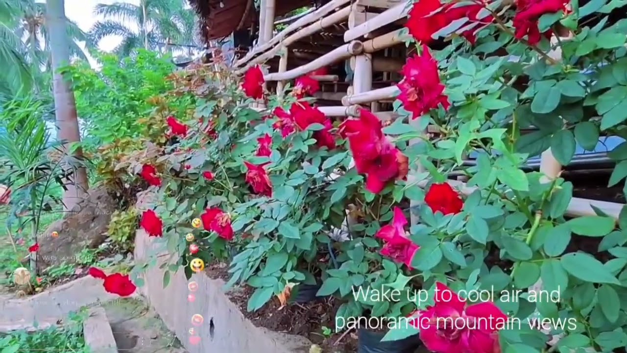 Ecotourism Destinations in Tiaong, Quezon (Promotional Video)