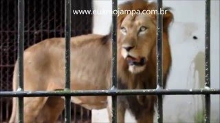 Bica João Pessoa - Pb