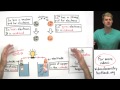 Introduction to Electrochemistry