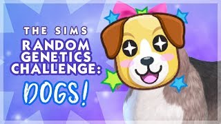 Random Genetics Challenge • Dogs! | The Sims 4 Cats & Dogs screenshot 2