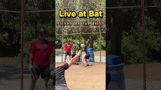  At Bat