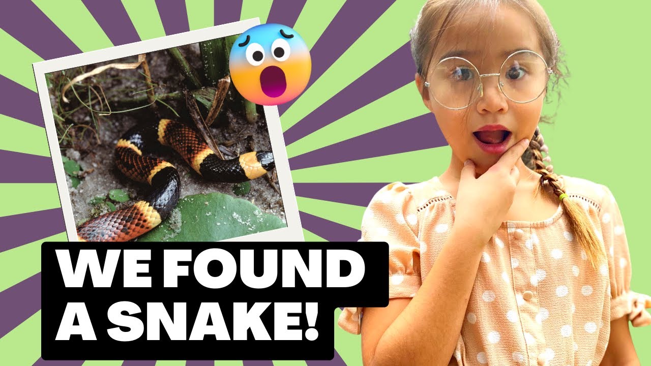 Baby Silver THROWBACK There s A SNAKE In My Backyard YouTube baby-silver-throwback-there-s-a-snake-in-my-backyard-youtube