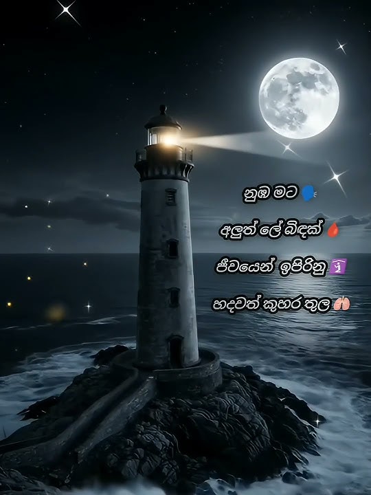 හදවත් කුහර වලට මෙන්න 🫁🫁🫁trending#like#comment#share#subcribe#kumiikavi#foryou#🧕🫂🛐🫁🗣️🩸❣️👍