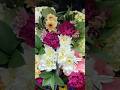 Beautiful flowers #beautifulflowers #relaxing #flowers #shorts