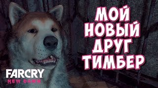 Far Cry New Dawn #4 - МОЙ НОВЫЙ ДРУГ ТИМБЕР