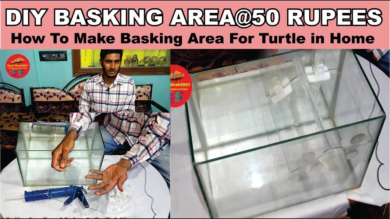 basking ridge san jose How to make Basking area for turtle at home!