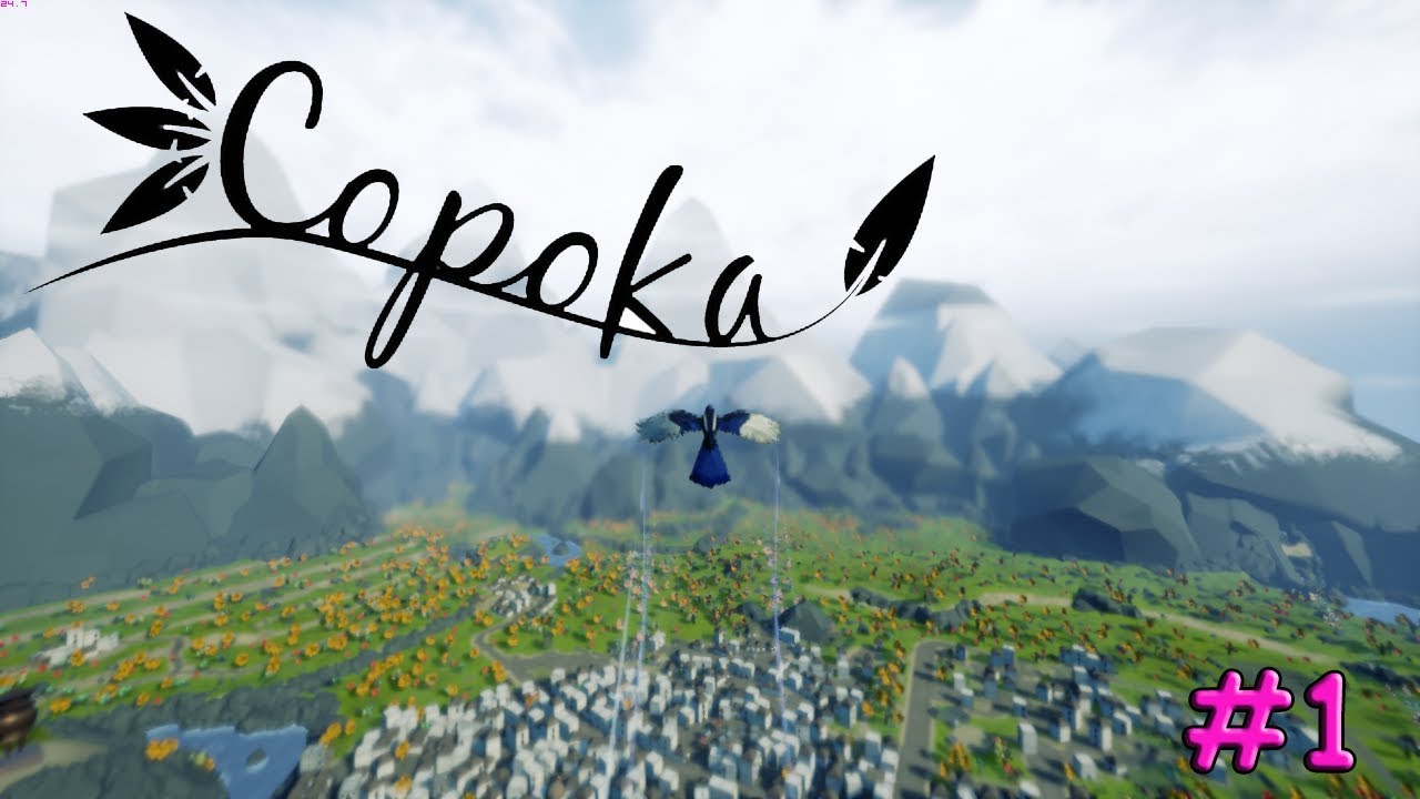 COPOKA #1 | I'M GONNA BIRD