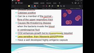 Micro - lecture 9 part 2 - Doctor Hazem