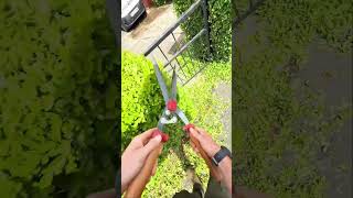 These Gardening Tools Make Yard Work So Much Easier 🌿#gardentools #amazonfinds