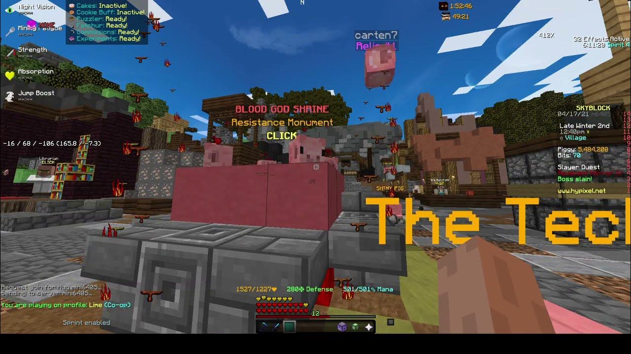 explained! ( Hypixel Skyblock ) YouTube