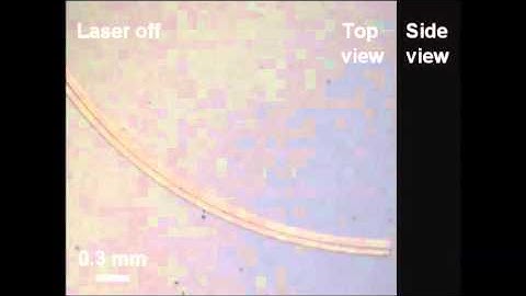 Reconfigurable liquid-core/liquid-cladding optical waveguides with dielectrophoresis-driven...