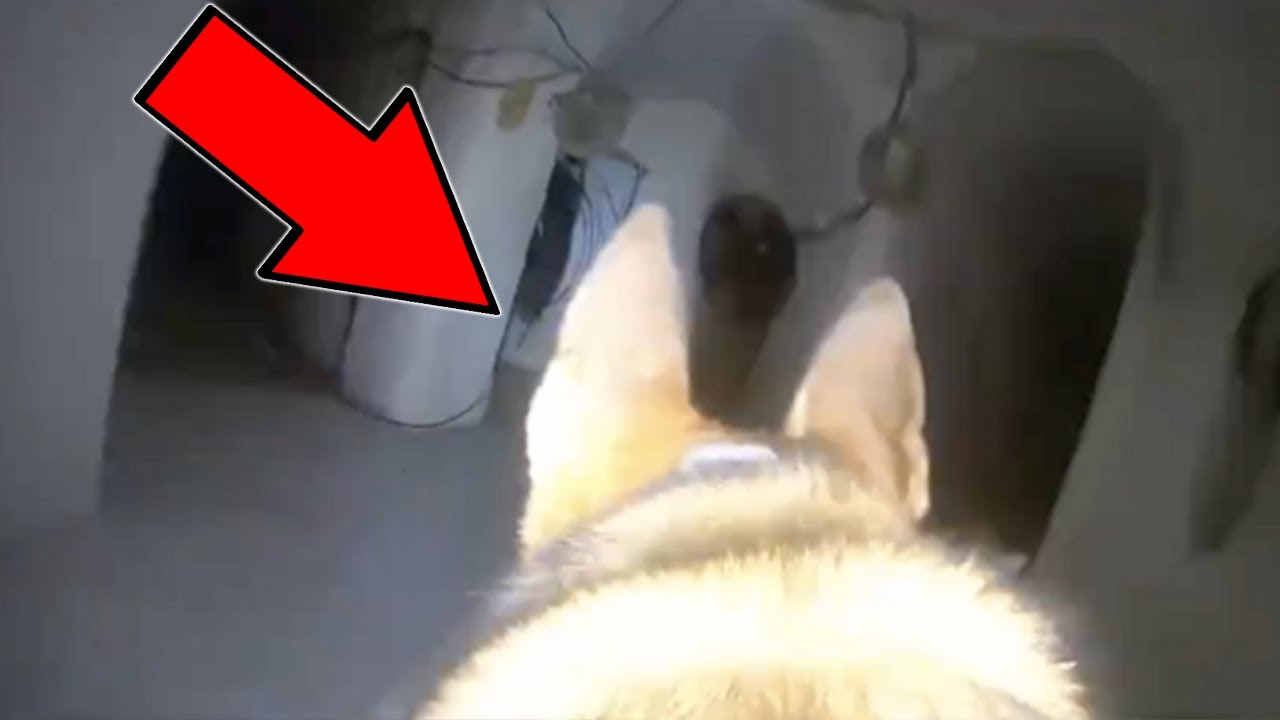 youtu.be