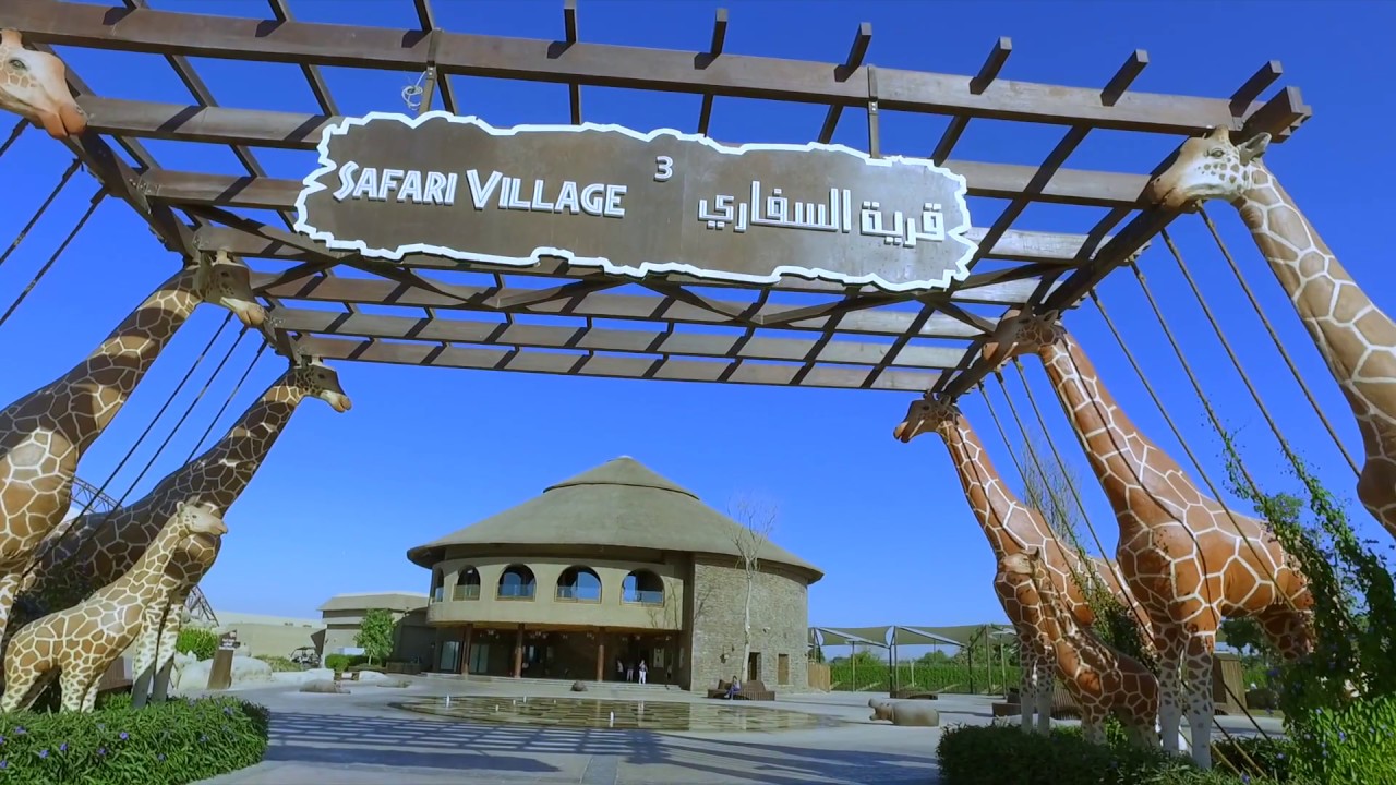 Kalba Bird of Prey Centre Sharjah: Location, Timings & more - MyBayut