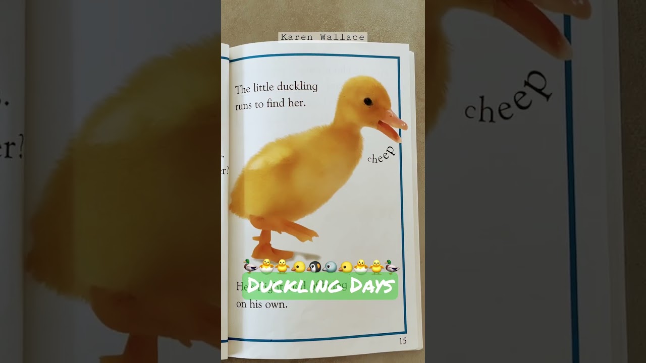 Duckling Days 
