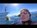 Swimming With Seals | Catch & Cook Yellowtail