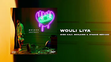 DADJU - Wouli Liya avec KALY, SOOLKING & AYMANE SERHANI (Audio Officiel)