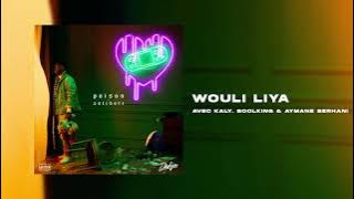 DADJU - Wouli Liya avec KALY, SOOLKING & AYMANE SERHANI (Audio Officiel)