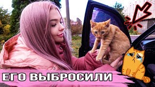 КОТЁНКА ВЫБРОСИЛИ НА УЛИЦУ ИЗ ТАКСИ 😭 ГРУСТНАЯ ИСТОРИЯ ПРО СПАСЕНИЕ КОТИКА / Алиса Лисова КОТЁНКА ВЫБРОСИЛИ НА УЛИЦУ ИЗ ТАКСИ 😭 ГРУСТНАЯ ИСТОРИЯ ПРО СПАСЕНИЕ КОТИКА / Алиса Лисова