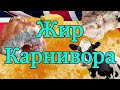 Жир Карнивора