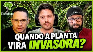O perigo das plantas invasoras | Corte do FloresCast