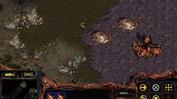 Starcraft - wysley (Z) v Ryunai (P) - Python - First Person - Part 1