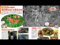プレゼントにはひみつの図鑑！