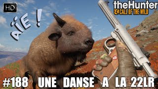 THEHUNTER CALL OF THE WILD NOUVEAU GAMEPLAY #188 UNE CHASSE AUX BISONS DES PLAINES - À LA 22LR !! screenshot 3