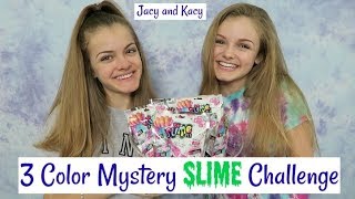 3 Color Mystery Slime Challenge ~ Jacy and Kacy