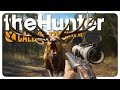 Hunting All Emerald Coast Species in 60 Min 🎯