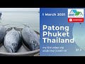 Patong Beach, Fresh fish from Andaman sea this morning Phuket Thailand March 1, 2021 | EP.2