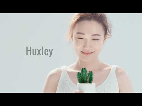韓國廣告- 孫秀賢손수현    HUXLEY SECRET OF SAHARA ESSENCE GRAB WATER 極緻水感清爽精華 廣告