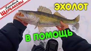 Зимой за СУДАКОМ с ЭХОЛОТОМ. Живые ПОКЛЕВКИ! Техника и тактика. Вкуснейший судак из духовки