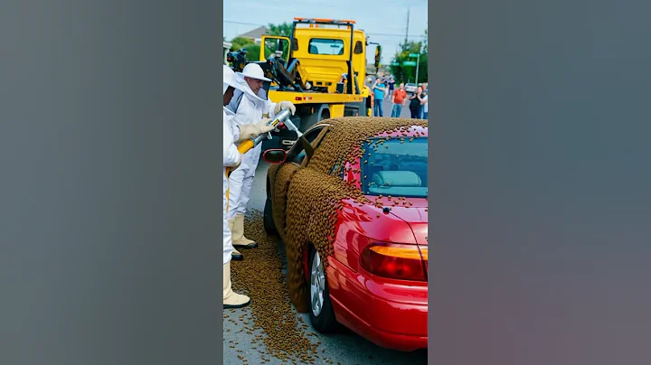 Million of these are fully covered the luxury car #shorts #youtubeshorts #shortsvideo #animalrescue