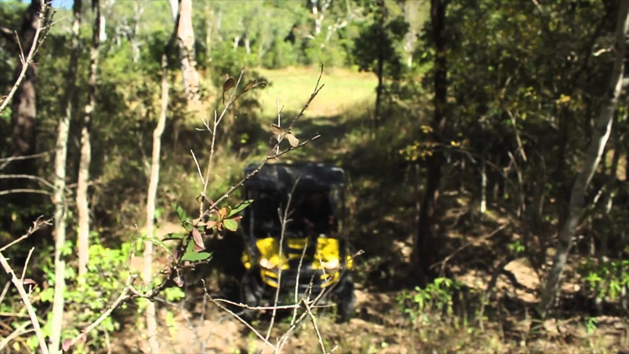 Wings Adventure Park Sneak Peek