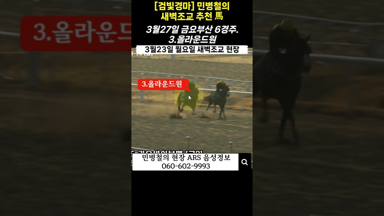 #3월27일 금요부산!민병철의 새벽조교 우수馬!