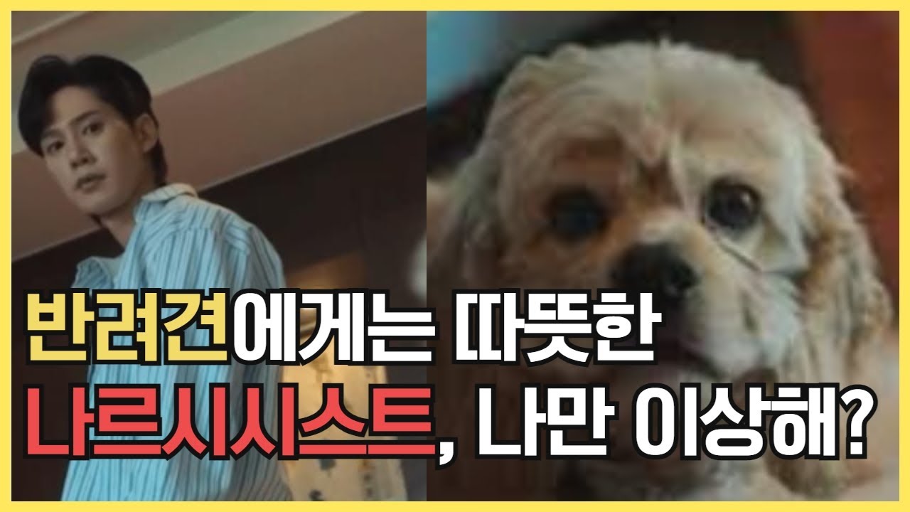루이만 좋아하는 더글로리 전재준 / 나르시시스트는 반려견을 왜 아낄까? - YouTube