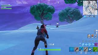 Funny Fortnite Bug
