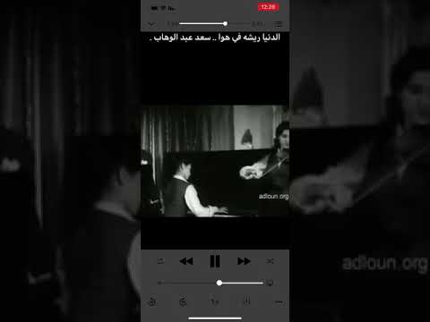 الدنيا ريشه بهوا