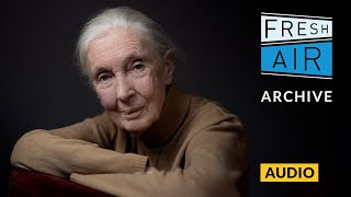 Remembering Jane Goodall (1993 interview) | Fresh Air