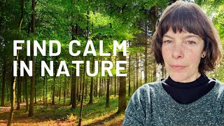 Forest Bathing: How To Do Shinrin Yoku Right!
