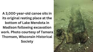 Prehistoric discovery Up to 11 ancient canoes found in Madison’s Lake Mendota Wealth