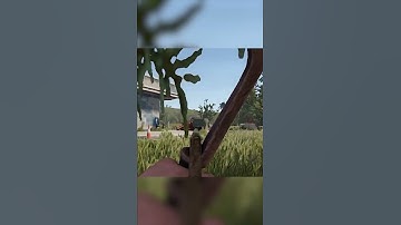 Cheater Pov in Rust