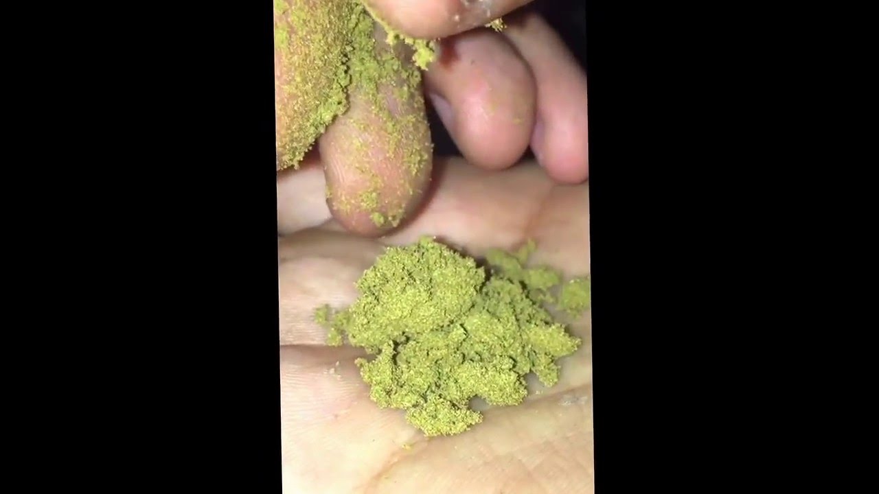 Ketama Gold BleySide *Exclu*